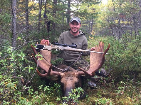 Moose Hunts Newfoundland Victoria Outfitters