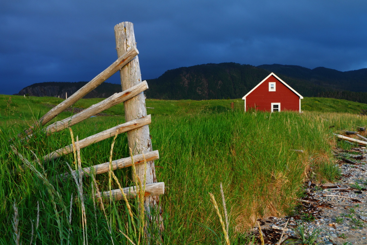 Newfoundland