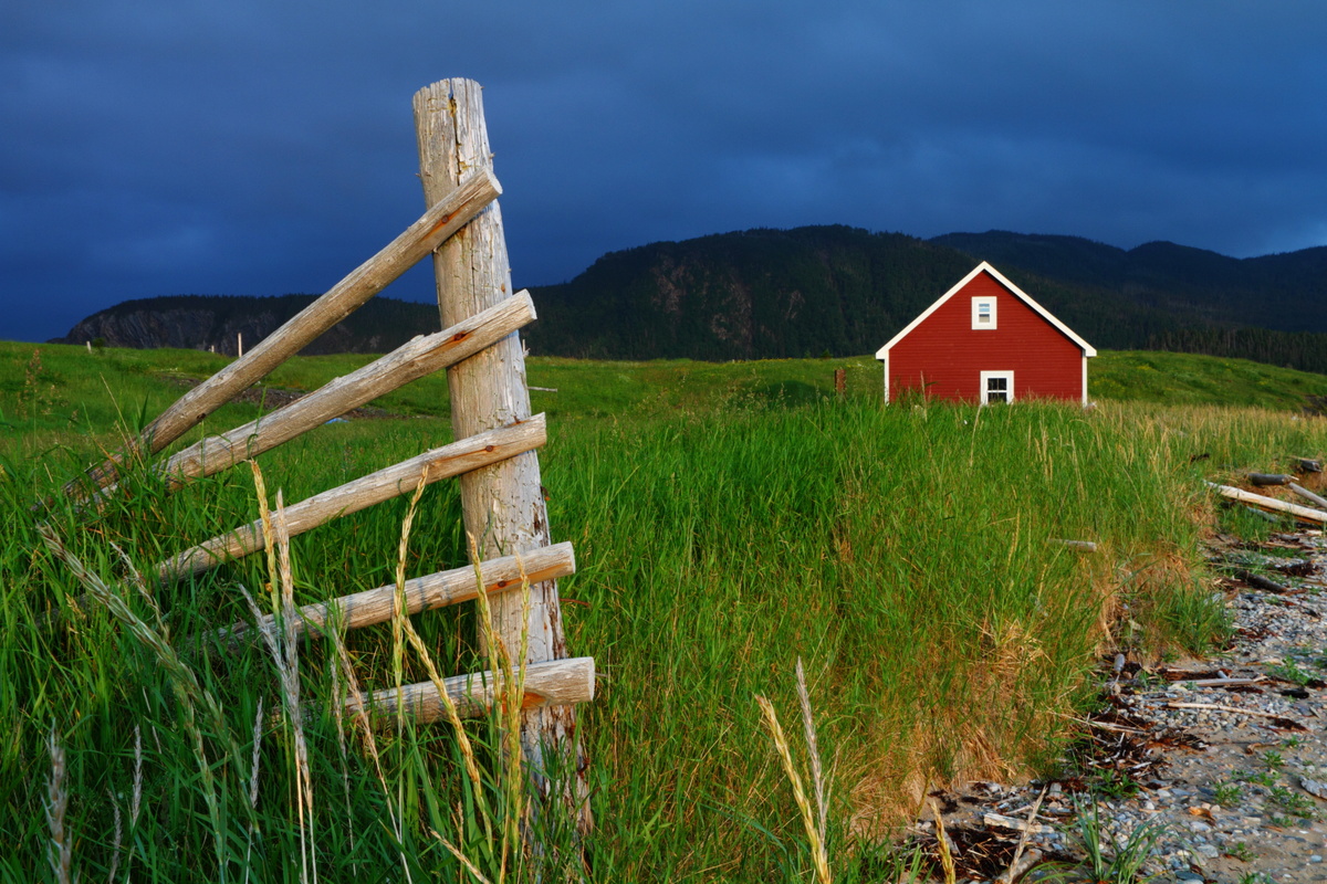 Newfoundland