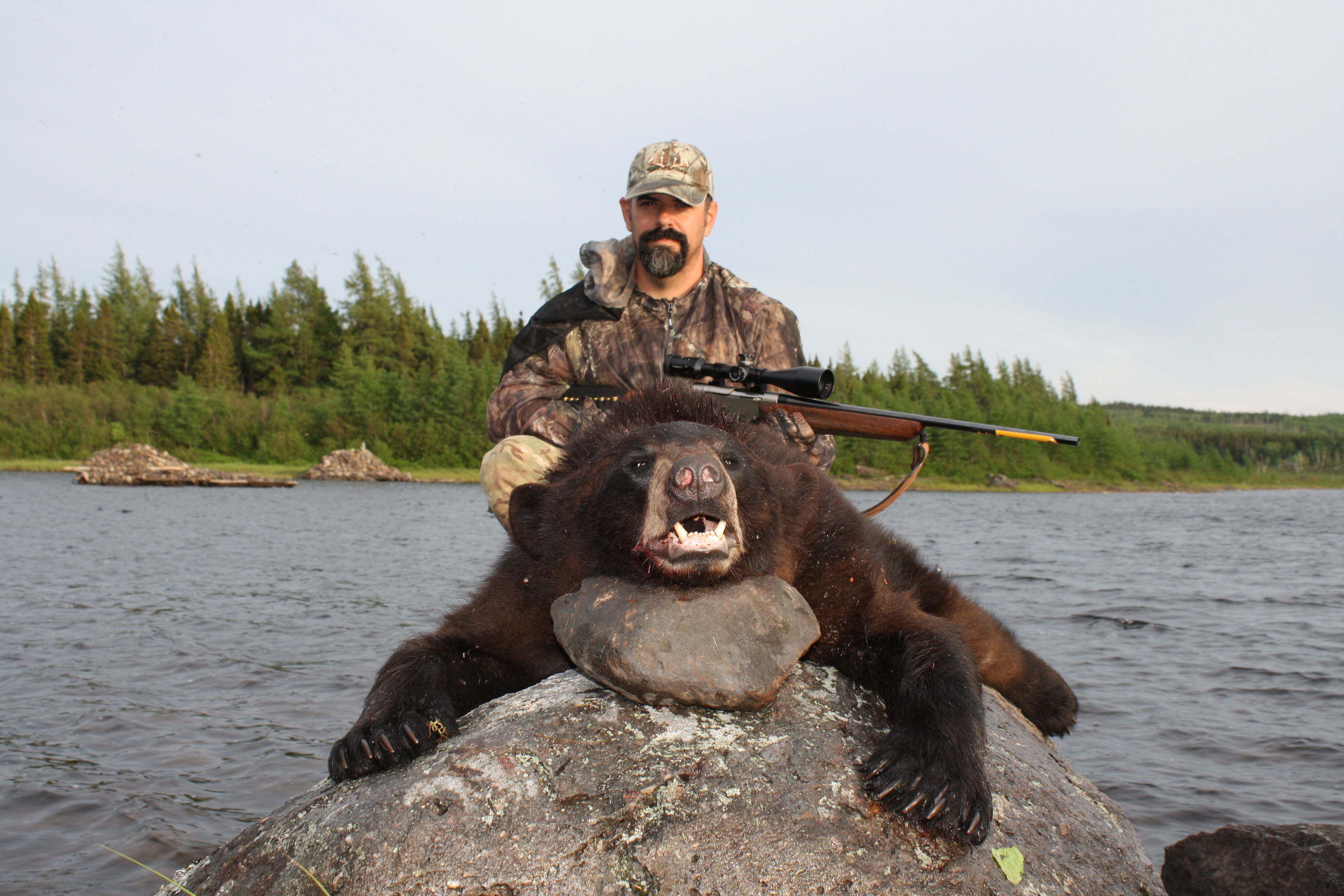 home victoria outfitters hunting Newfoundland â bear moose lodge, hunting Gallery